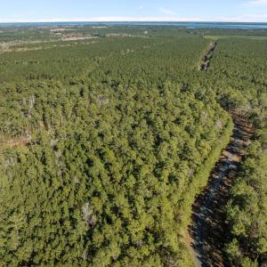 9-web-or-mls-DJI_0815