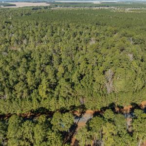 10-web-or-mls-DJI_0816