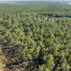 12-web-or-mls-DJI_0818