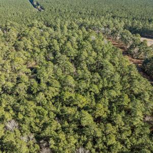 13-web-or-mls-DJI_0819