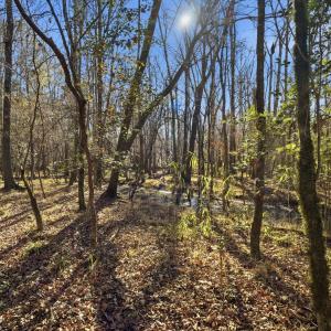 img_2226_autoremove_11442512