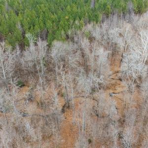 DJI_20251213014105_0013_D