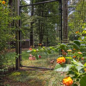 24-web-or-mls-5Z8A8040