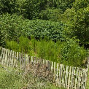 80-web-or-mls-DJI_0105