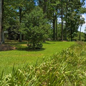 63-web-or-mls-DJI_0071