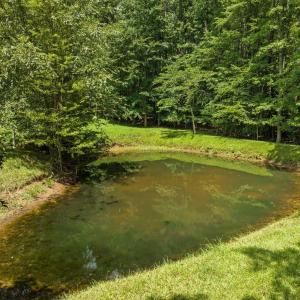 81-web-or-mls-DJI_0107