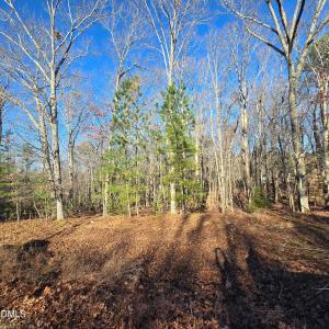 WhatsApp Image 2025-12-31 at 11.58.57 AM