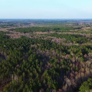 17745802435138974163757648603520