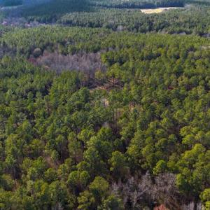 17745803230619084319614023565654