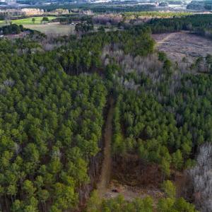 17745804172091079831388193890843