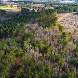 17745804492235187209615782228980