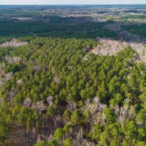 17745804760743348203374346231121