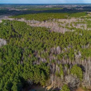 17745804919083598315649973995503