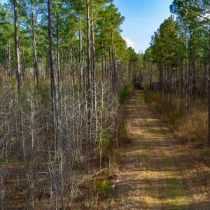 17745805030105912840804993879774