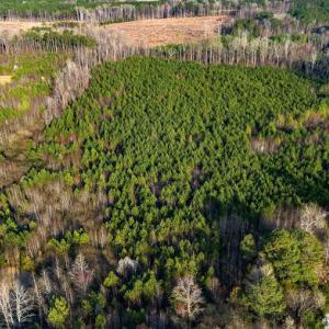 17745807047299206419300956451279