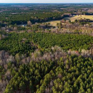 17745807161201926240682221020287