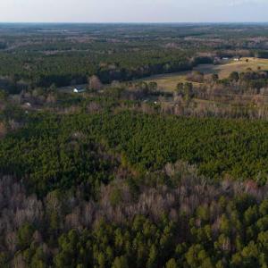 17745807717462042641470250329771