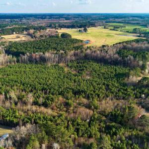 17745807833589091359591523357785