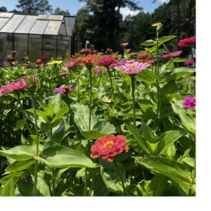 176c4e7a-cb62-4327-956a-3f0846fc0e9a