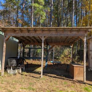 PXL_20251105_181531205