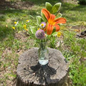 445369566_17843706690237294_857809500533