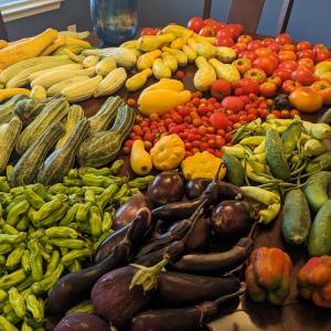 PXL_20230718_110812624