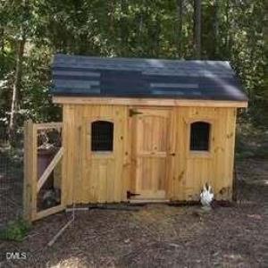 567159118_1161932402474433_2429465042492