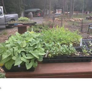 04b774e8-5703-4685-bf33-aa2f13da44ca