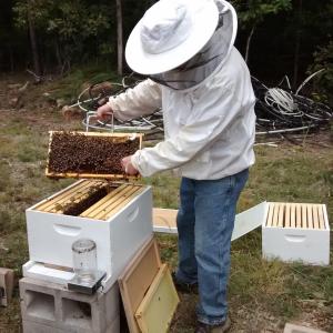 IMG_20170911_132429945