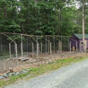 MVIMG_20200610_114109