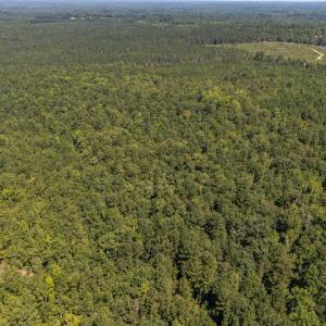 6-web-or-mls-DJI_20230826115635_0352_D