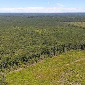 4-web-or-mls-DJI_20230826115556_0349_D