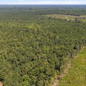 5-web-or-mls-DJI_20230826115619_0351_D