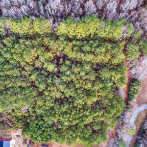 24-web-or-mls-Kendall Lane-Lot C (24 of