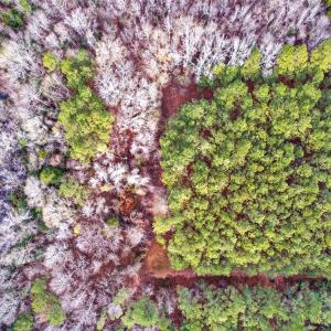 22-web-or-mls-Kendall Lane-Lot C (22 of