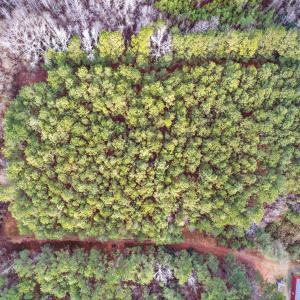 21-web-or-mls-Kendall Lane-Lot C (21 of