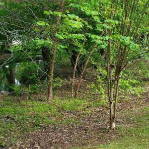 20230808114005258000000000-o