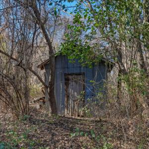 13-web-or-mls-DSC00251_2_3_4_5