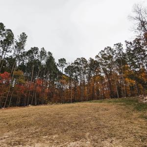 PXL_20221029_144911145