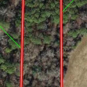 South Shiloh Lot 2A ortho photo