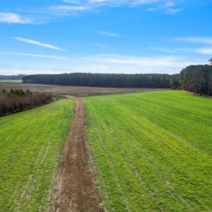 3-web-or-mls-DJI_0870