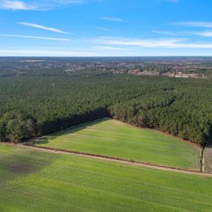 25-web-or-mls-DJI_0894