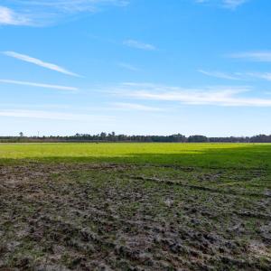 35-web-or-mls-P1331230