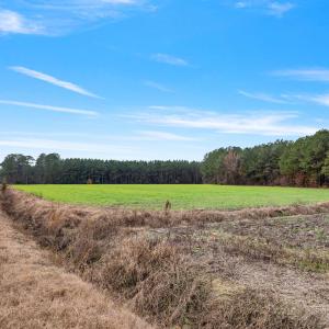 38-web-or-mls-P1331245