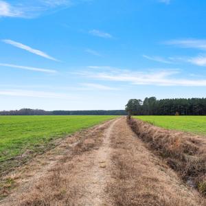 10-web-or-mls-P1331250