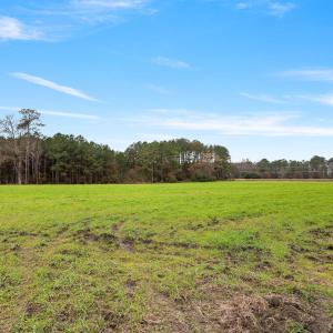 12-web-or-mls-P1331300