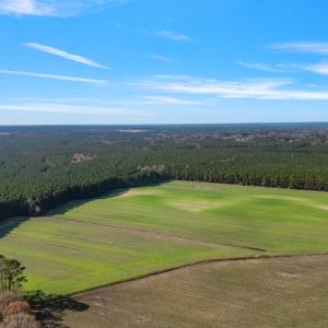 21-web-or-mls-DJI_0890