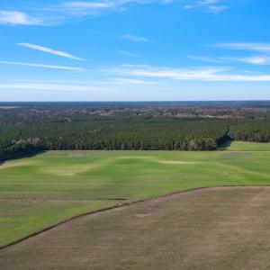 22-web-or-mls-DJI_0891