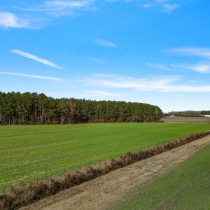 28-web-or-mls-DJI_0898