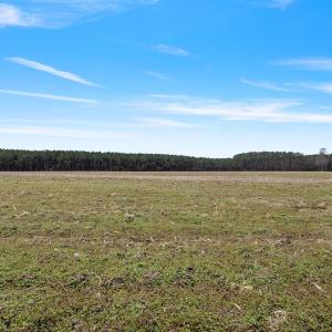 39-web-or-mls-P1331260